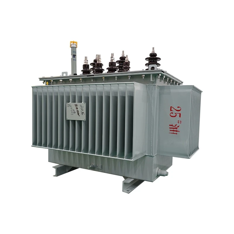 Oil Immersed Self Cooled Transformer
